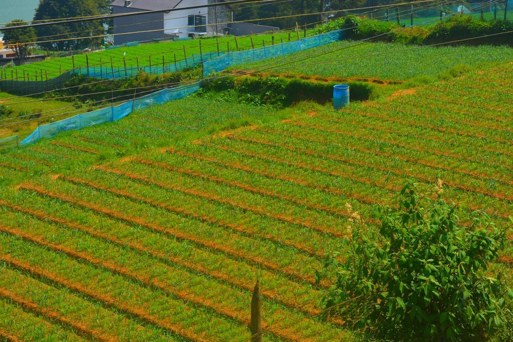 Guest House Hill Paradise Nuwara Eliya Ngoại thất bức ảnh