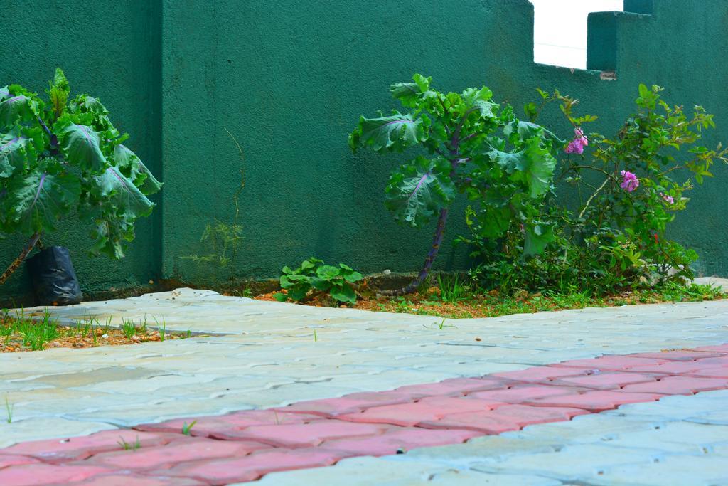 Guest House Hill Paradise Nuwara Eliya Ngoại thất bức ảnh